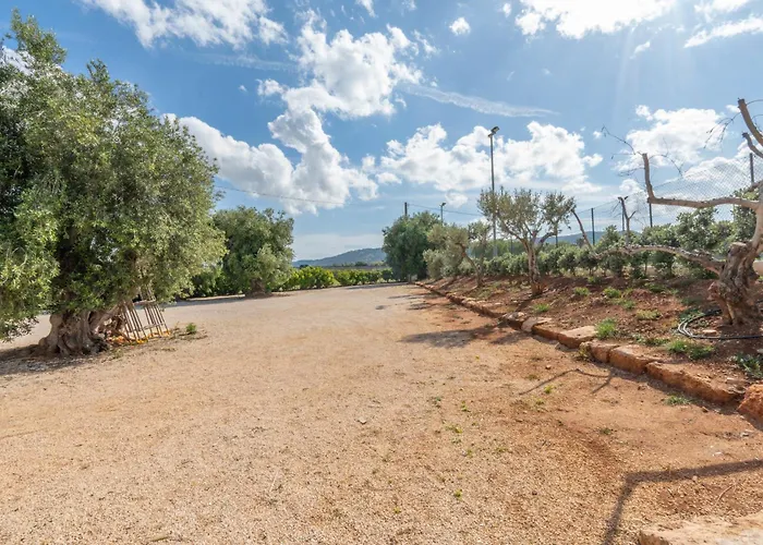 Frühstückspension Dimora Tauro Fasano